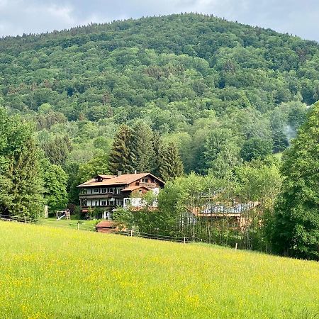 Hüttenflair im Gut Sonnenwald Schöllnach Exterior foto